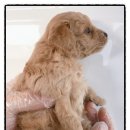 멍앤멍스 이미지