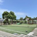 올리버 스테이 이미지