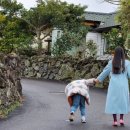 하가리집 이미지