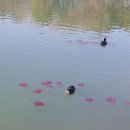 연부농장 이미지