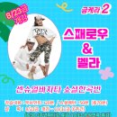 센슈얼바차타 준중급 스페로우&벨라 8/23금개강~(6주) 이미지