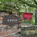 산청바이브 이미지