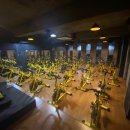 마스터디디 이미지