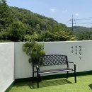 비비모스 이미지