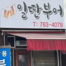 일딴부어호프