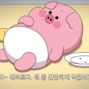 캠앤캠아지트 이미지
