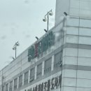 양재 꽃시장 주차, 영업시간 / 꽃다발 가격 / 에덴화원 &amp; 꽃이 예쁘고 친절했던 가게들 리스트 / 부케...