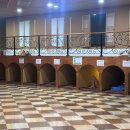 유스포힐링스파 이미지