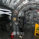 야생화마을 추리본부 이미지