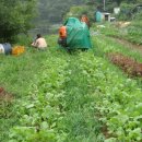 내덕농장 이미지