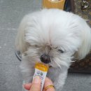 이지메디 이미지