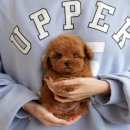 송이로14길 이미지