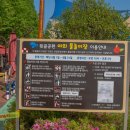 정관 어린이도서관(윗골공원) 이미지