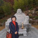 금오사 이미지