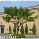 여주순영병원 이미지