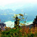 H&D공인중개사사무소 이미지