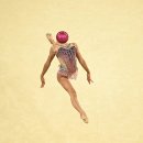 미로월드 이미지