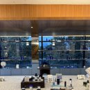 베스트피씨카페 도화점 | 북촌 한옥마을 가볼만한곳 / 편강율 플래십&amp;티하우스 아늑한 카페 추천