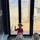 이 동 | 용인 처인구 카페ㅣ아이랑 가기 좋은 샌드뮤지엄 카페8794 용인점 후기