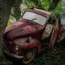 함평자동차해체재활용산업 이미지