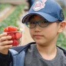 용인대타이곤 태권도 체육관 이미지