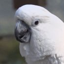 김동호 농장 이미지