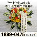 주식회사천안호텔어반트 | 결혼 축하 오브제화환