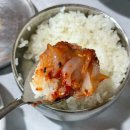 통나무집 | [맛집_태안] 게장 게국지 맛집 통나무집사람들 방문 후기