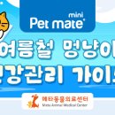 메타 동물의료센터 이미지