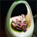 청미다육 이미지