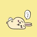 우사기 - 부산진구 당감로 53-3 | 우사기