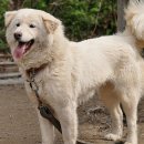 풍산중학교 이미지