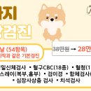 키다리아저씨 동물병원 이미지