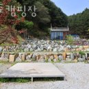 윤 오토캠핑장 | 양평 오토캠핑장 윤오토캠핑장 후기