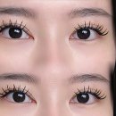 대원장 | 속눈썹연장 유지력 4주 이하라면? 김포 6주 보장 샵 선착순 20명