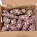 늘찬농장 이미지