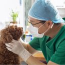 토비동물병원 이미지