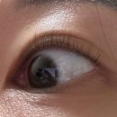 [강릉] 속눈썹펌 후기“슈퍼래쉬“