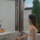 어니언 스테이 이미지