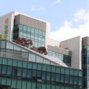 농협 임원선거 금품 의혹 반복 … 정부도 '취약한 선거제도' 지적 이미지
