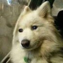 도봉로3길-3 | 생일? 나는 그런 거 별로 신경 안 써서. 🥳🎉🎂