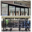 복싱라이프 강남점 이미지