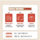 유한회사 퓨어그린 | 하기스 허그박스 임신 축하 선물 | 신생아 기저귀 샘플 구성 후기