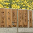 청년고기집 | [경기/연천]제주청년돼지 방문 후기 전곡맛집 전곡고기집 추천!🐷