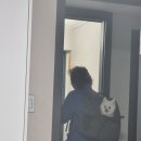 워너비핏 이미지