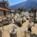 미선순대 이미지