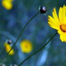 함평군립도서관 이미지