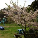 삼목선착장 이미지