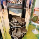 댕마카세 | 청담동 애견 오마카세 '퍼피라운지' 오늘 생일자 강아지의 댕마카세 다녀오기!