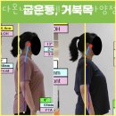 다온나 필라테스&PT 네이버블로그